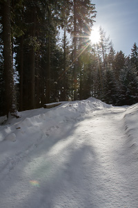 Strada innevata