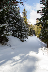 Strada innevata