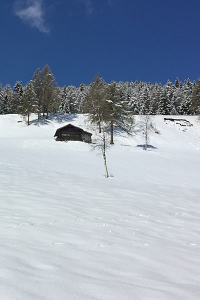 Prato innevato