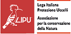 bannerlipu